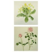 KAY REES-DAVIES watercolours (2) - Still Life, one signed, 29 x 29cms and 35 x 29cms