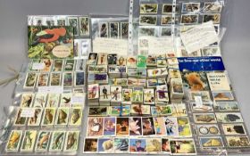 CIGARETTE & TEA CARDS, A LARGE COLLECTION - Wills, Players, Lambert & Butler, Gallaher and others