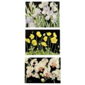 MOYA DAVERN watercolours (3) - Still Lifes, all signed, 38 x 48cms and the other two 27 x 37cms