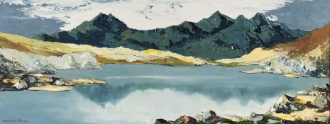 ‡ CHARLES WYATT WARREN oil on board - entitled verso 'Snowdon from Llyn Mymbyr', signed, 28 x