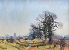 JOHN LINES (b.1938) oil on board - 'Winter Sunlight', winter landscape with large oaktree in the