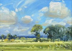 JOHN LINES (b.1938) oil on board - 'Summer Fields', summer landscape with trees and clouds, signed