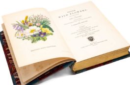 Botany - SOWERBY (JOHN E.) (illust.) British Wildflowers, C. Pierpoint Johnson, re-issue with