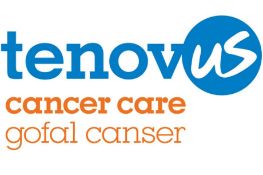 CHARITY LOT SUPPORTING TENOVUS CANCER CARE comprising FOUR MODERN THAI PAINTED CELADONS,
