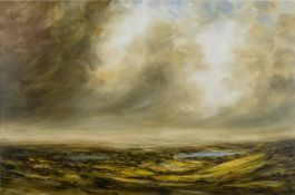 ‡ HARRY BRIOCHE (b. 1965) oil on board - expansive landscape with lakes to centre ground, signed, 61