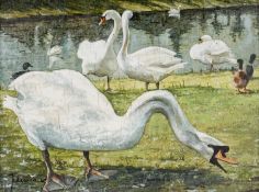 20TH CENTURY BELGIAN SCHOOL oil on board - Geese, signed, inscribed Brugge 'het stil ende' verso,