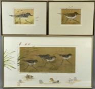 JULIE PEELEN limited edition colour prints, sixteen - (42/150) Daisy Rothchild II, (25/150)