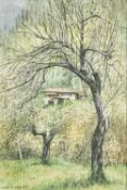 ‡ JANE CARPANINI watercolour - entitled verso, 'Vignacci' on Bankside Gallery Label London,