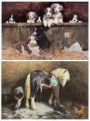 DAVID SHEPHERD OBE limited edition prints - (252/850) 'Shampoo Time', signed in pencil, 44 x 57cms