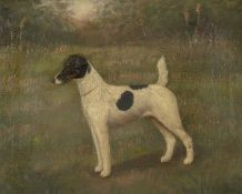 HENRY CROWTHER oil on canvas - fox terrier portrait, signed and dated 1912, named 'Nippitt' to the