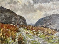 KEITH GARDNER RCA (British, b. 1933) oil on board - titled verso 'Track Above Nant Ffrancon Pass',