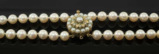 TWO STRAND CULTURED PEARL NECKLACE, with 9ct gold and pearl floral clasp, pearls 8mm diam., 81g.,