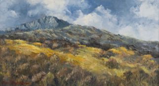 ‡ CHARLES WYATT WARREN oil on board - upland Eryri (Snowdonia) landscape, signed, 18 x 33cms