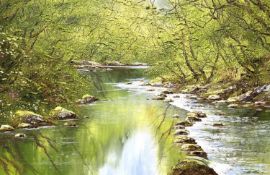 ‡ TERRY EVANS (British, b. 1943) impasto oil on canvas - woodland river, possibly Betws y Coed, 39 x