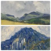 SEIRIOL DAVIES (British, 20th Century) two oils on canvas - titled verso 'Tryfan', dated '93 lower