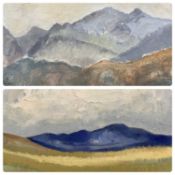 SEIRIOL DAVIES (British, 20th Century) two oils on boards- titled verso 'Mynyddoedd Eryri', signed