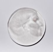 Harcuba, Jirí: Portraitplakette