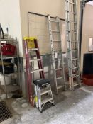 Lot of Various Ladders