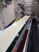Stainless Steel 31' Trough Conveyor