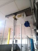 Budgit 1/4 Ton Capacity Chain Hoist