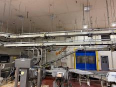 Ceiling Mounted Roller Conveyor