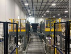 Palletizer with Belt Conveyors and Mezzanine