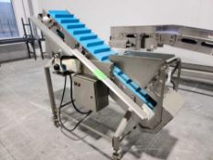 Cleated Incline Conveyor with Discharge
