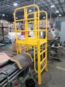 Conveyor Walk-Over Ladder