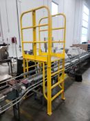 Conveyor Walk-Over Ladder