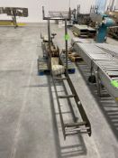 Steel Framed Conveyor on Pallet