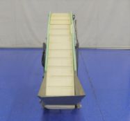 Cleated Incline Conveyor With Hopper 100