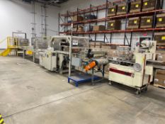 In-Line Blister Sealer with AmeriPak Horizontal Flow Wrapper