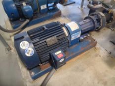Sterling Peerless Centrifugal Pump with Marathon 30 HP Motor