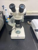 Fisher Scientific Steromaster Microscope
