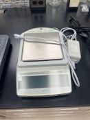 Mettler Toledo PG6002-S Delta Range Scale