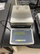 Sartorius SIWADCP Scale