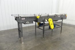 Sentry Equipment Plastic Mat-Top Conveyor 132