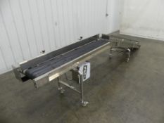 Belt Incline Conveyor 10