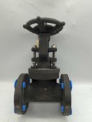 Flowserve Valve Gate Steam
