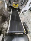 Belt Conveyor 80” L 20”W
