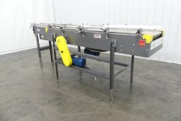 Sentry Equipment Plastic Mat-Top Conveyor 132
