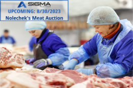 Upcoming Sigma Auction 8/30/2023