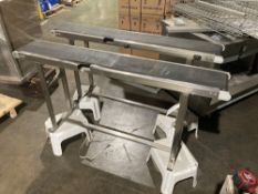 (2) Smooth Top Belt Conveyors