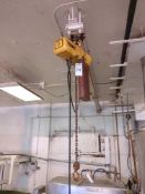 Yale 1 ton chain hoist