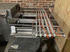 Eagle Single Lane Transfer Conveyor