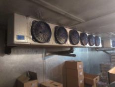 (2) Bohn Evaporator Fans