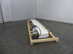 17 Inch Wide x 12 Foot Long Trough Belt Conveyor