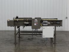 Stewart Switch 42A-BO-705 Sorting Conveyor
