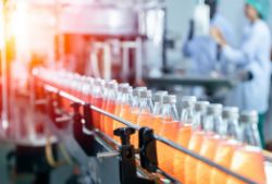 Beverage Processing and Packaging Equipment