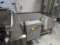2020 DMM Packaging Stainless Steel Mass Flow Accumulation Conveyor